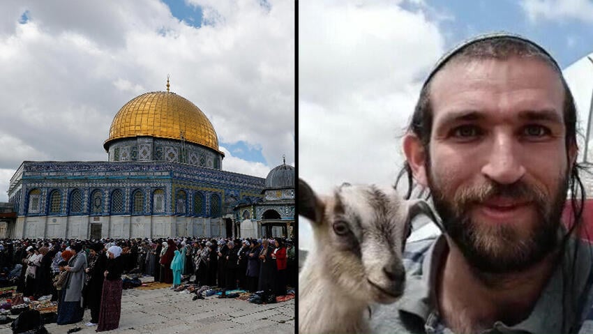 רפאל מוריס
