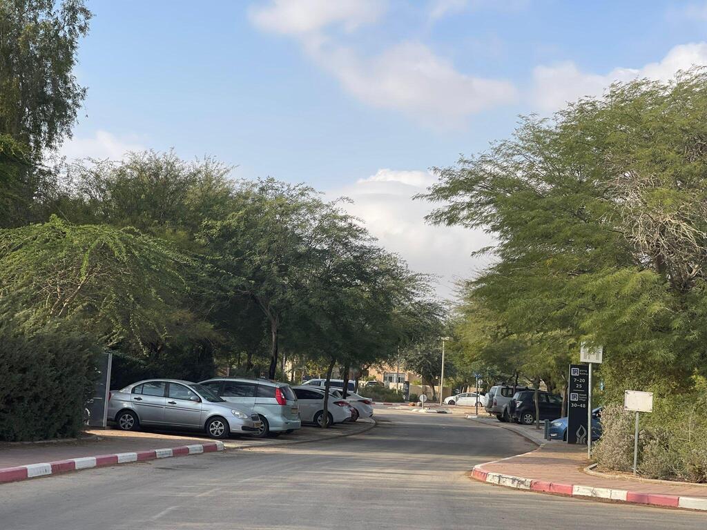 שדרה בשדה בוקר עם ינבוטים (צילום: ניצן שגב) שדרה בשדה בוקר עם ינבוטים