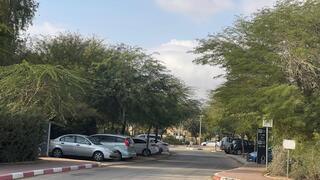 שדרה בשדה בוקר עם ינבוטים