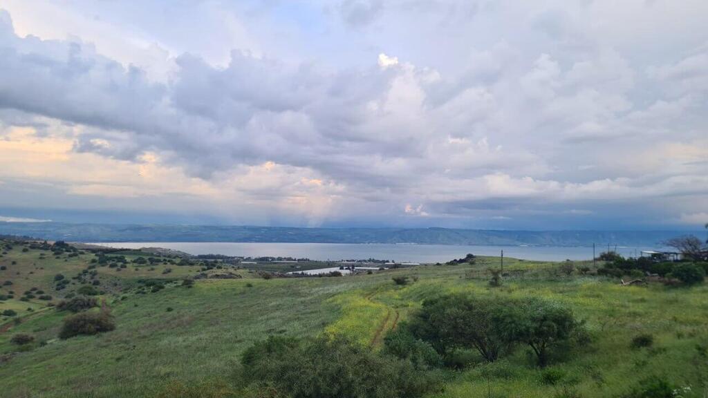 גבעת ליבנים (צילום: דנה בכר, איגוד ערים כינרת) גבעת ליבנים