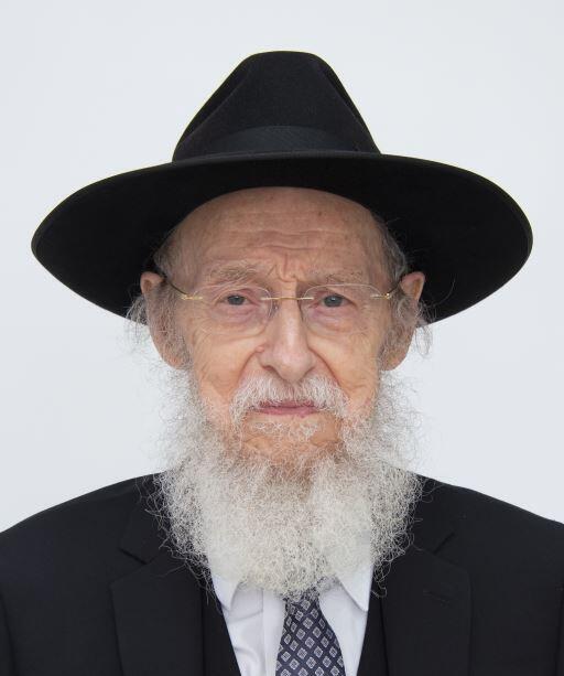 הרב אפרים מול (צילום: יוסי בן דוד) הרב אפרים מול שהתמוטט ביד ושם