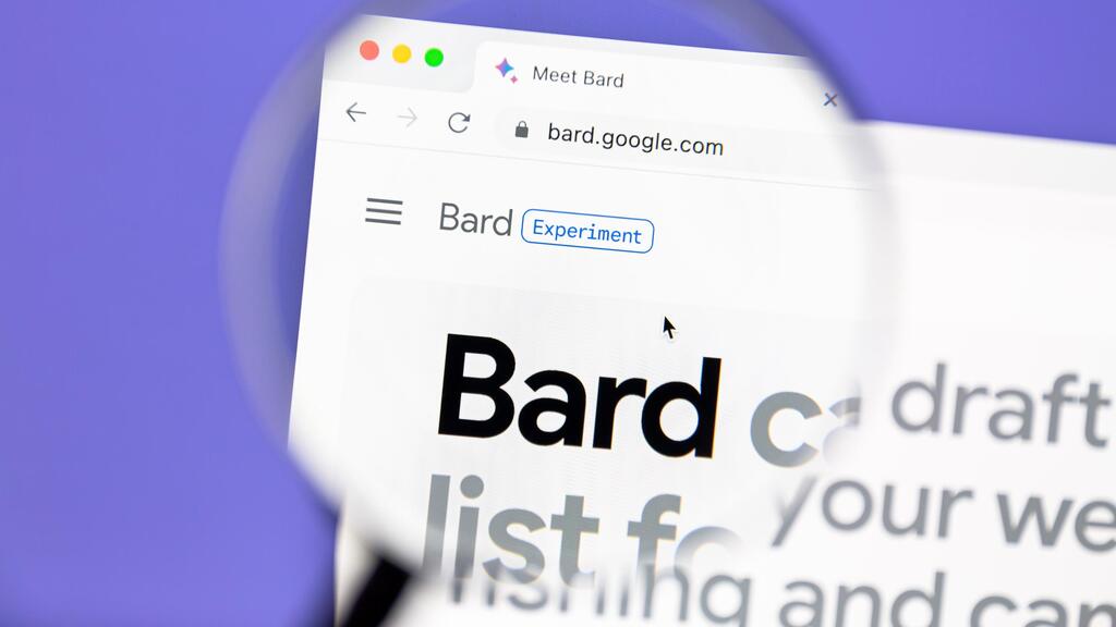 Bard (צילום: IB Photography / Shutterstock.com) Bard