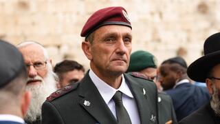 הרצי הלוי