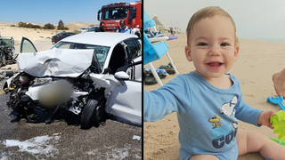 מעיין דוד דומנוביץ