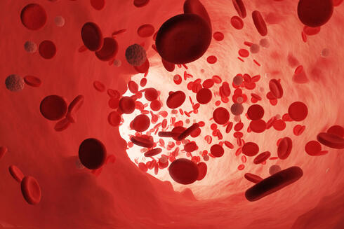 Israeli scientific breakthrough could cure life threatening anemia - Vimarsana News