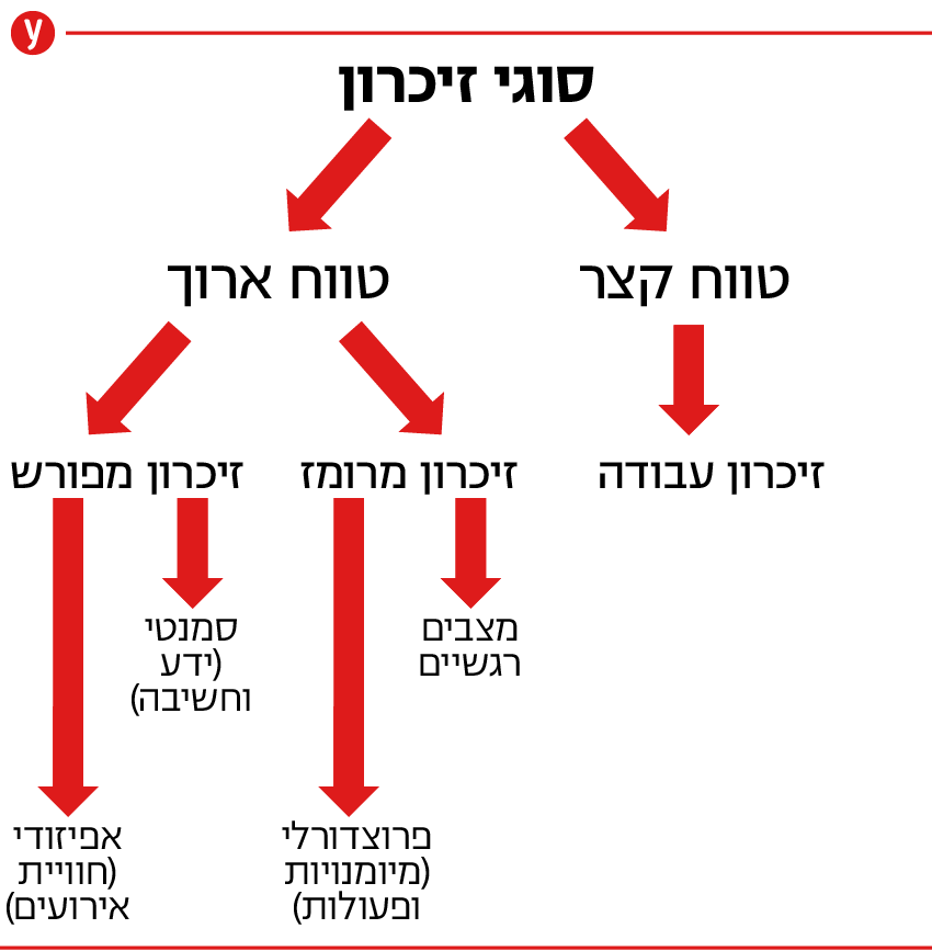 סוגי זיכרון (עיבוד ממוחשב) סוגי זיכרון
