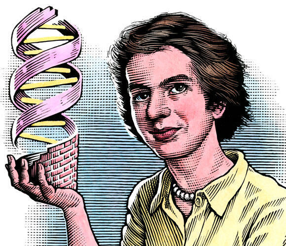 Watson and Crick utilized images obtained by the skilled crystallographer, Rosalind Franklin, to develop their DNA model