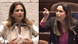 מירב בן ארי במליאת הכנסת