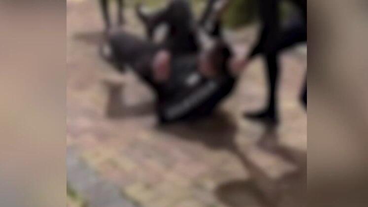 תלמידי התיכון מכים את חברים לשכבה ומתעדים לטיקטוק