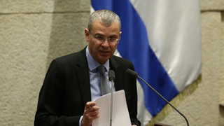 יריב לוין
