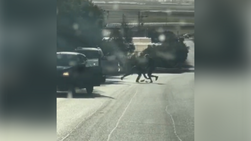 19-y/o Arab Israeli shot dead amid a roadside brawl - Vimarsana News