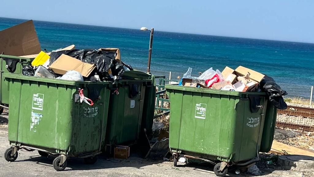 צילום: איתן גליקמן בעקבות השביתה - האשפה הנערמת בכניסה לחיפה