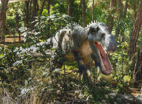It's got a big mouth: The fascinating anatomy of the dinosaur known as Irritator - Vimarsana News