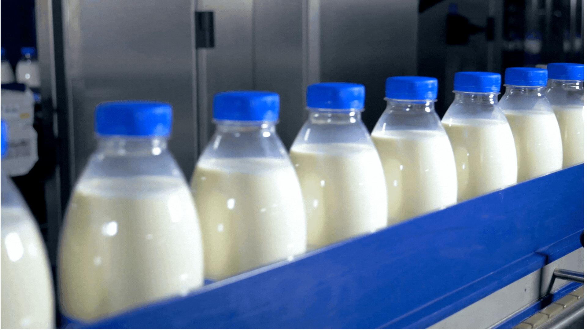 Israel losing its status as a milk powerhouse - Vimarsana News