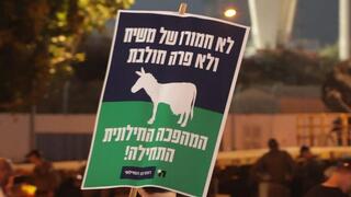 צעדת מחאה מקניון איילון לבני ברק 