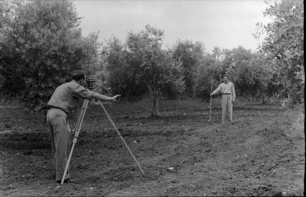 עובדים ביער חולדה ב-1936