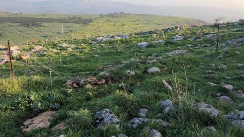 Земельное управление отобрало пастбища у кибуца и передало преступнику