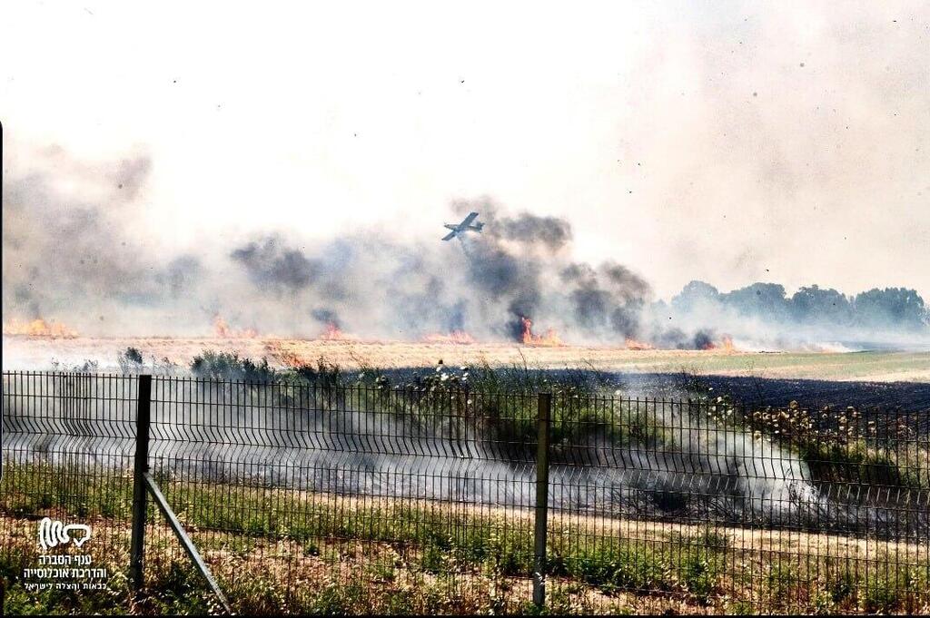 מטוס של טייסת הכיבוי בשריפה בסגולה (צילום: דוברות כבאות והצלה לישראל) מטוסים של טייסת הכיבוי בשריפה בסגולה