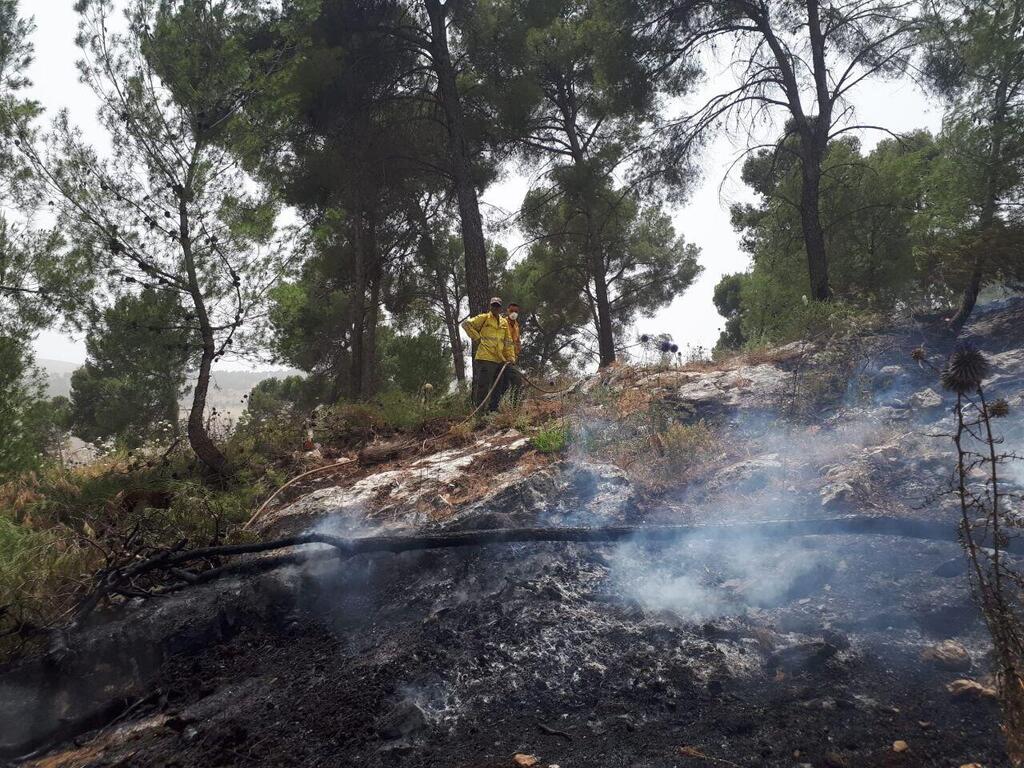 השריפה ביער ביריה ( צילום: ארתור ינקולביץ, יערן קק״ל) שריפה יער ביריה