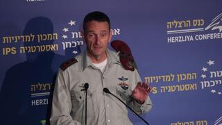 הרצי הלוי