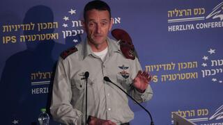 הרצי הלוי
