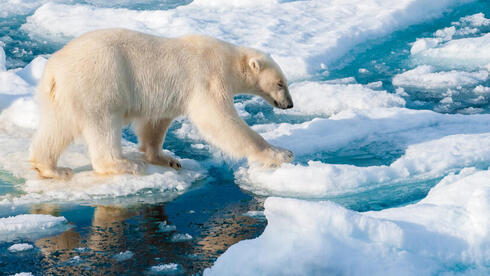 First ice-free Arctic summer delayed by 15 years