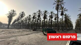 השריפה באזור ים המלח 