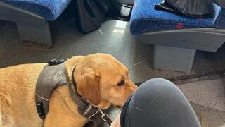 רוני ברכבת מול הגבר שסירב לאפשר לה לשבת לידו 