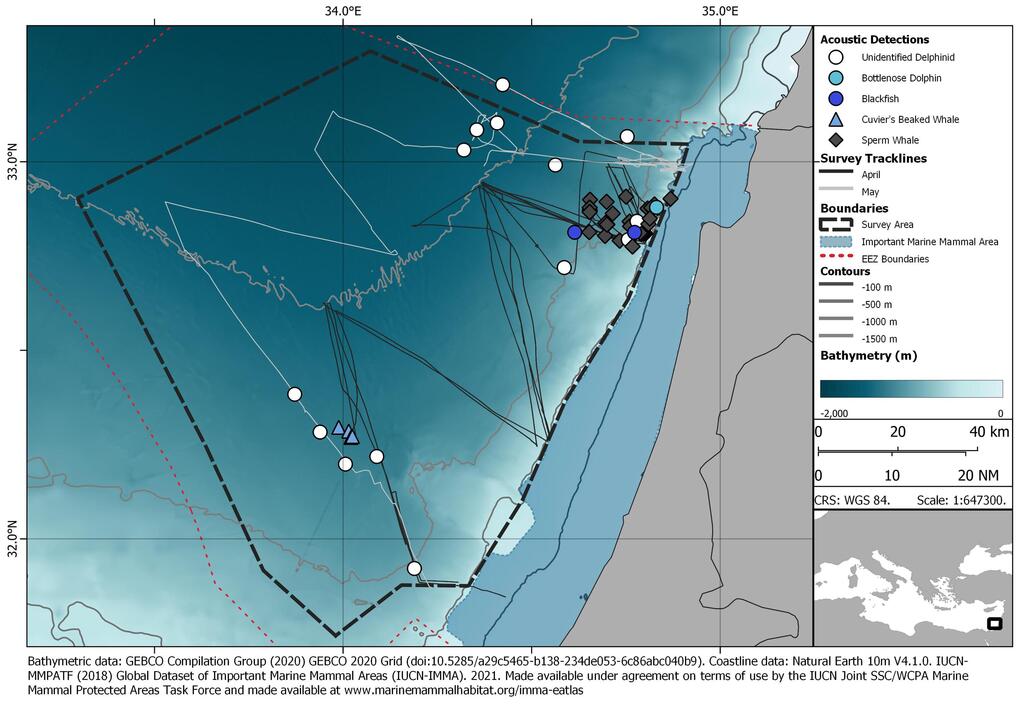 מפת הזיהויים של לוויתנים ודולפינים במים הכלכליים של ישראל