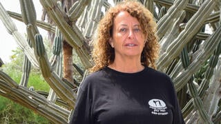 דורית צימרמן