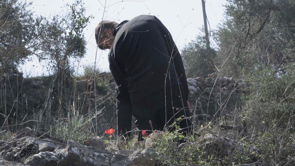 "כלניות" (צילום: עודד ידעיה) "כלניות"