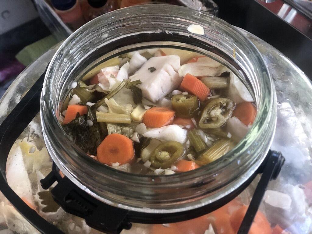 התמחות מהבית (צילום: קובי רובין) מפגש רפאל