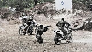 לוחמי "כוח רדואן"