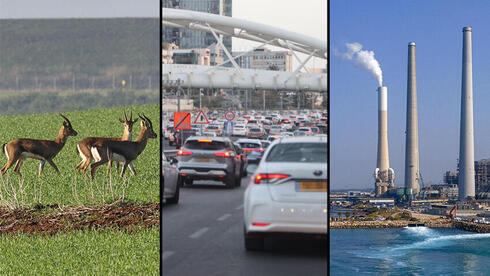 Israel misses the mark on environmental goals, damning OECD report says - Vimarsana News