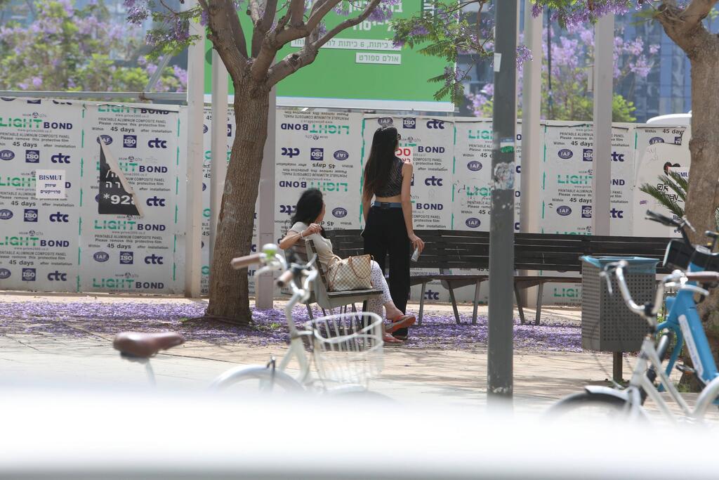 סיבוב כמובן (צילום: מוטי לבטון) פפראצי