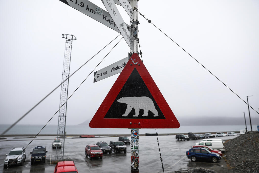 שלט המזהיר מדובים בסבאלברד