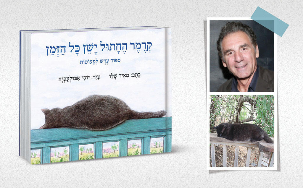 קרמר החתול