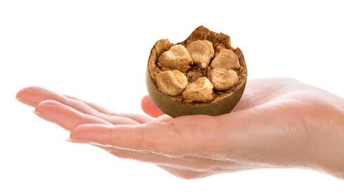 Monk fruit: Nature's sweet secret