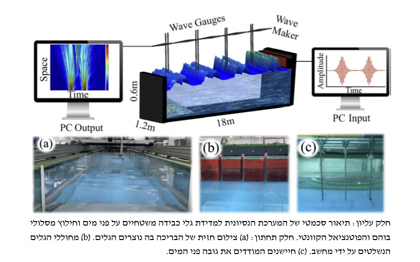 איור: מתוך המחקר, אוניברסיטת תל אביב
