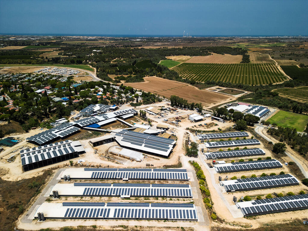 Solar panels on top of chicken coops in Israel 