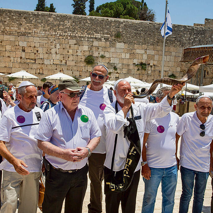 צילום: עמית שאבי yk13478698