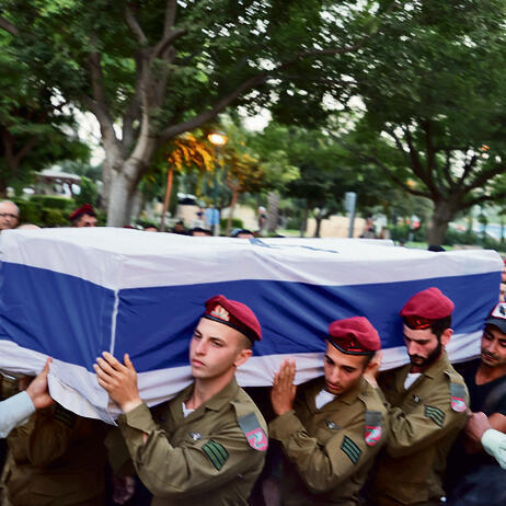 צילום: יריב כץ yk13484536