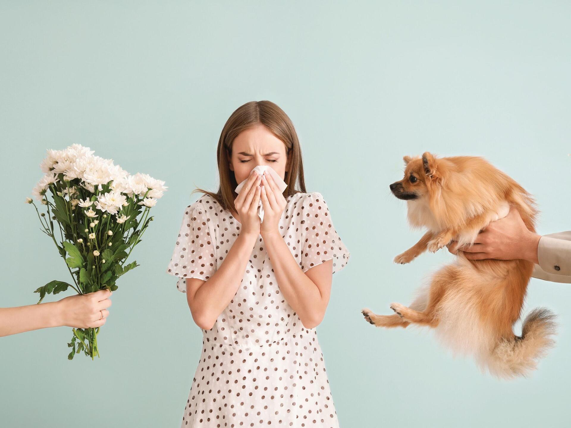 אלרגית? זה לא רק בגלל הגנטיקה (צילום: shutterstock) למה כולם אלרגים?
