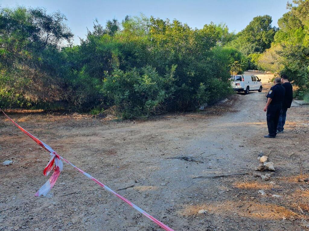 החורשה שבה נורה למוות הצעיר (צילום: אלכס גמבורג) רצח במודיעין: המשטרה עצרה גבר בחשד שירה למוות בבנו המאומץ