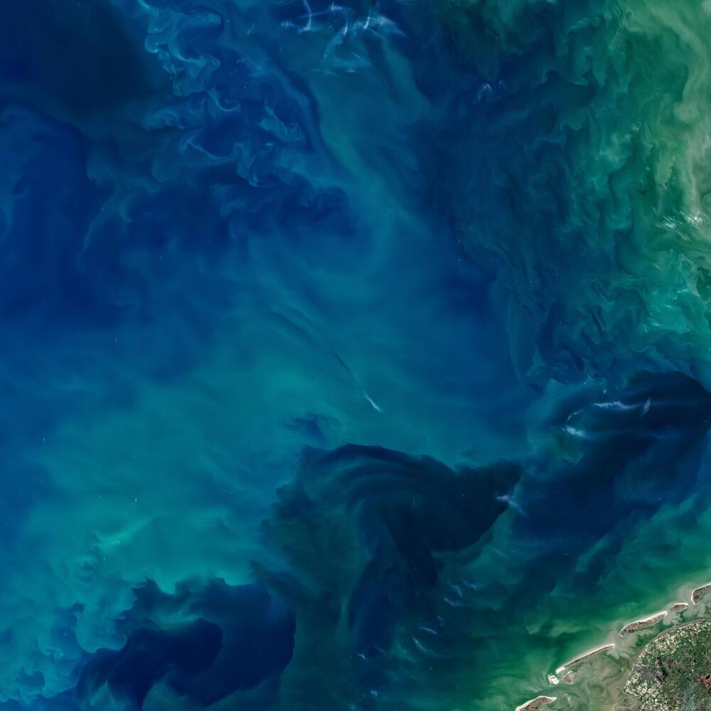 תצלום לווייני של מי האוקיינוס והצבעים השונים שבו