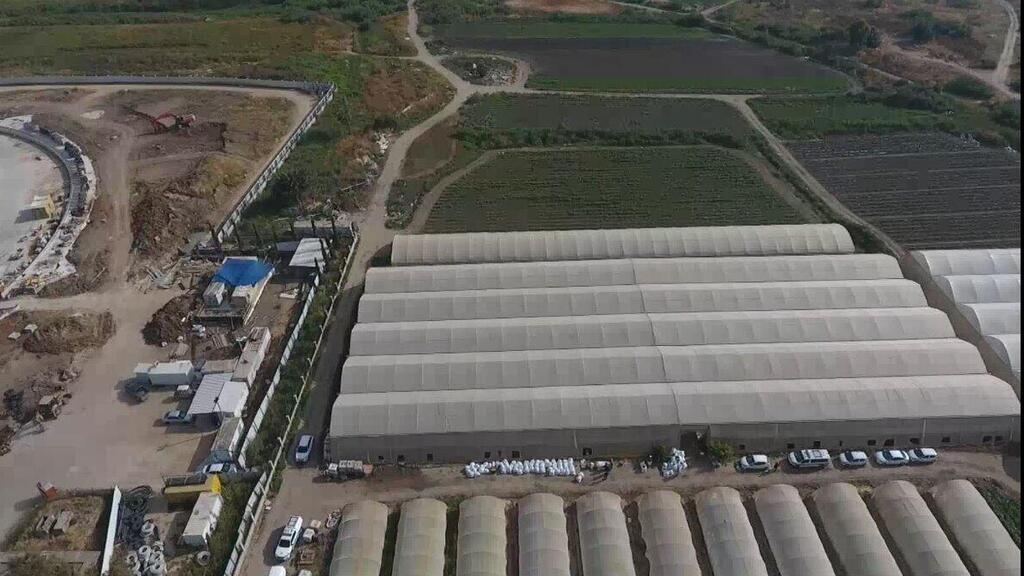 המשטרה עצרה חשודים בגידול חממות סמים ליד עכו