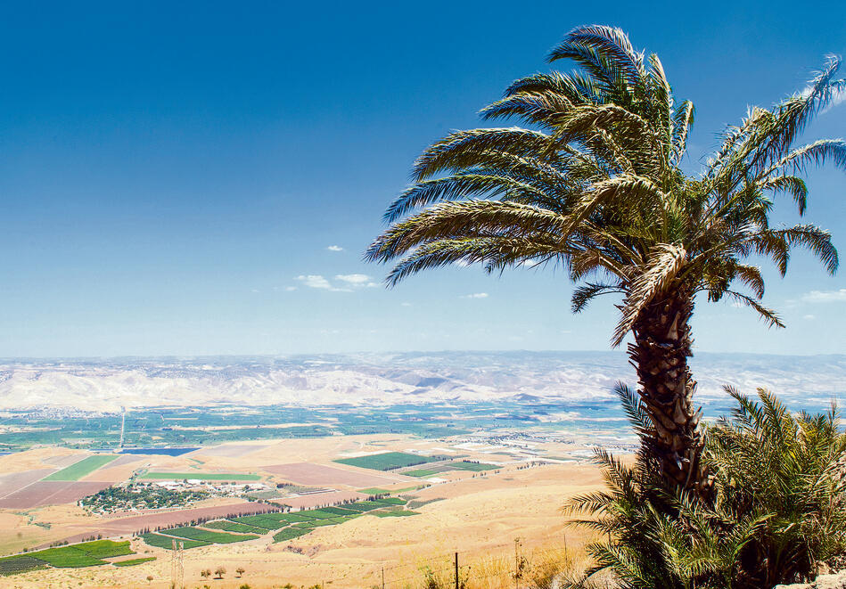 בקעת הירדן | צילום: שאטרסטוק yk13510515