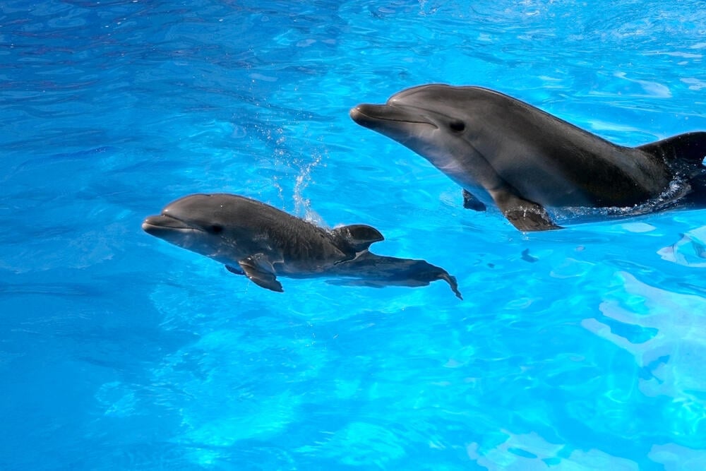 צילום: shutterstock