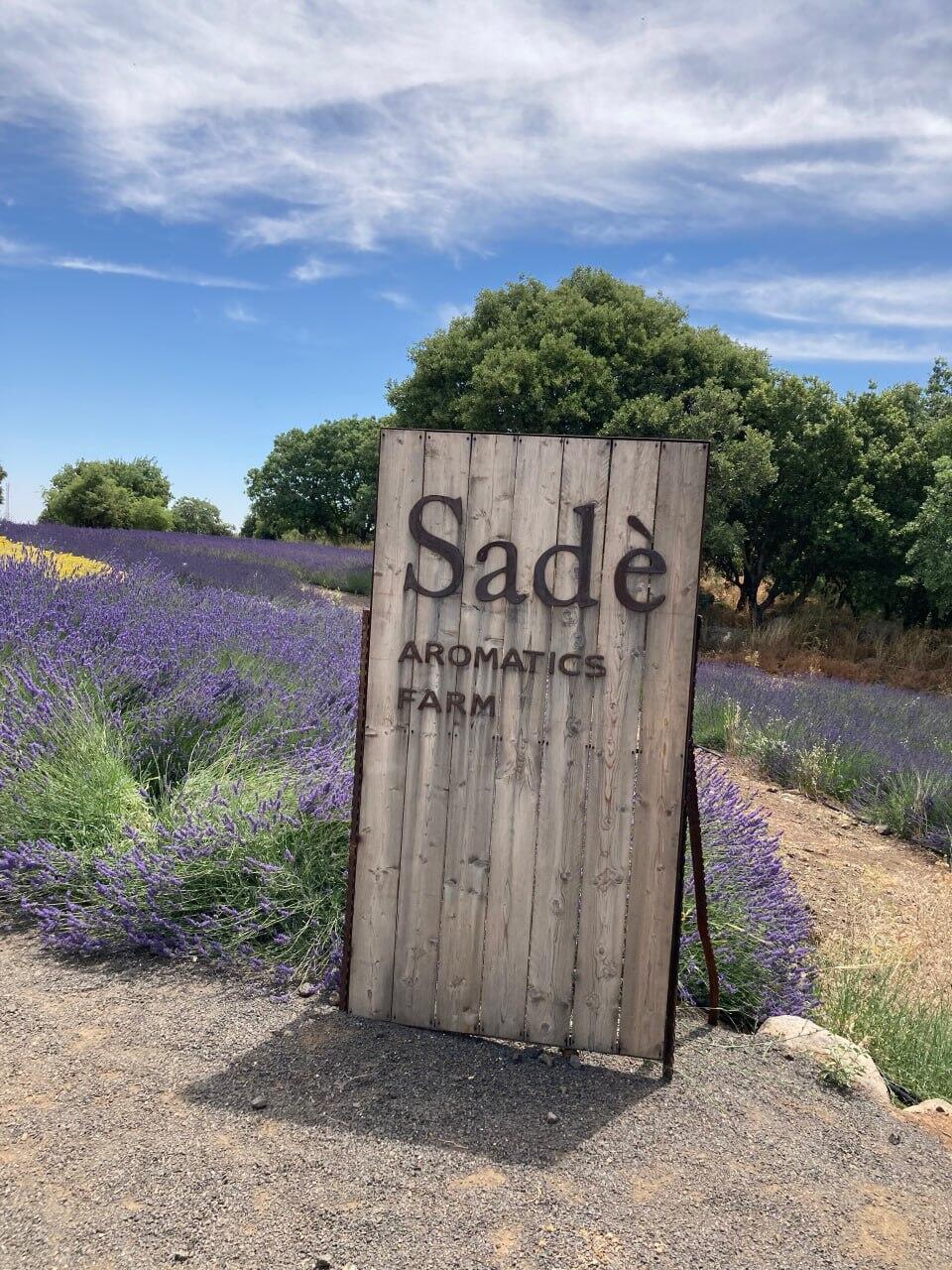 Sadè Aromatics Farm 