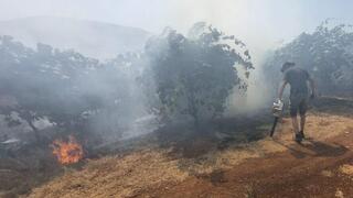 לבנוניים הציתו מטע קיווי בקיבות מלכיה